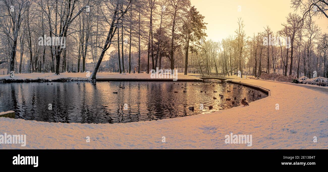 Panoramablick auf Sonnenuntergang über Park mit kleinem See mit Enten und bedeckt mit Schneebäumen Stockfoto