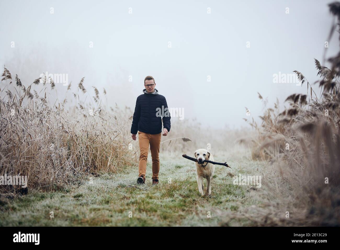 Junger Mann, der mit seinem Hund in der Natur spazierengeht. Haustierbesitzer mit labrador Retriever auf Wiese mitten im Schilf während frostigen Tag. Stockfoto