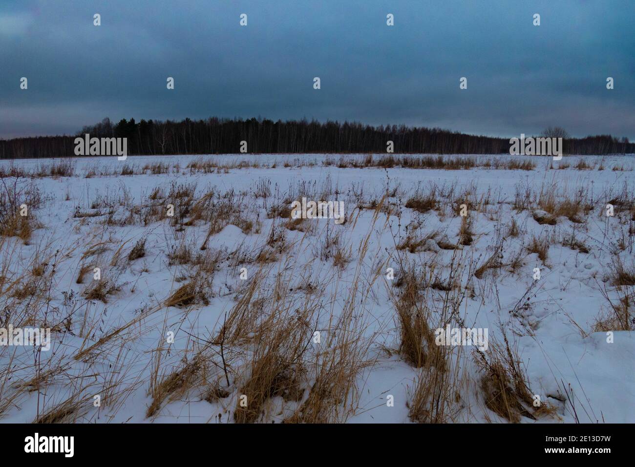Das Feld im Winter schneebedeckt in Russland 2021 Stockfoto