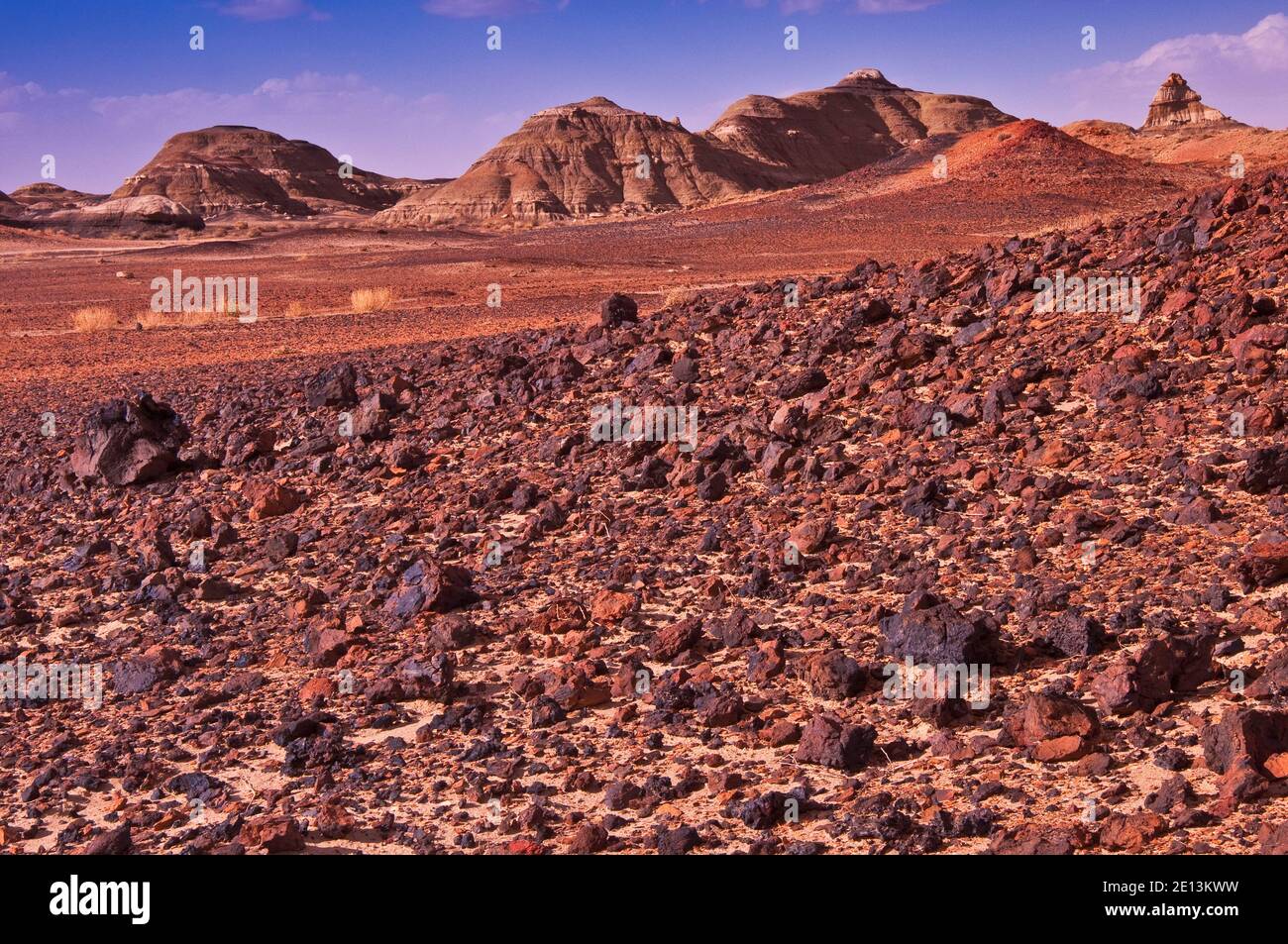 Vulkanisches Gestein in der Bisti De-Na-Zin Wilderness, New Mexico, USA Stockfoto