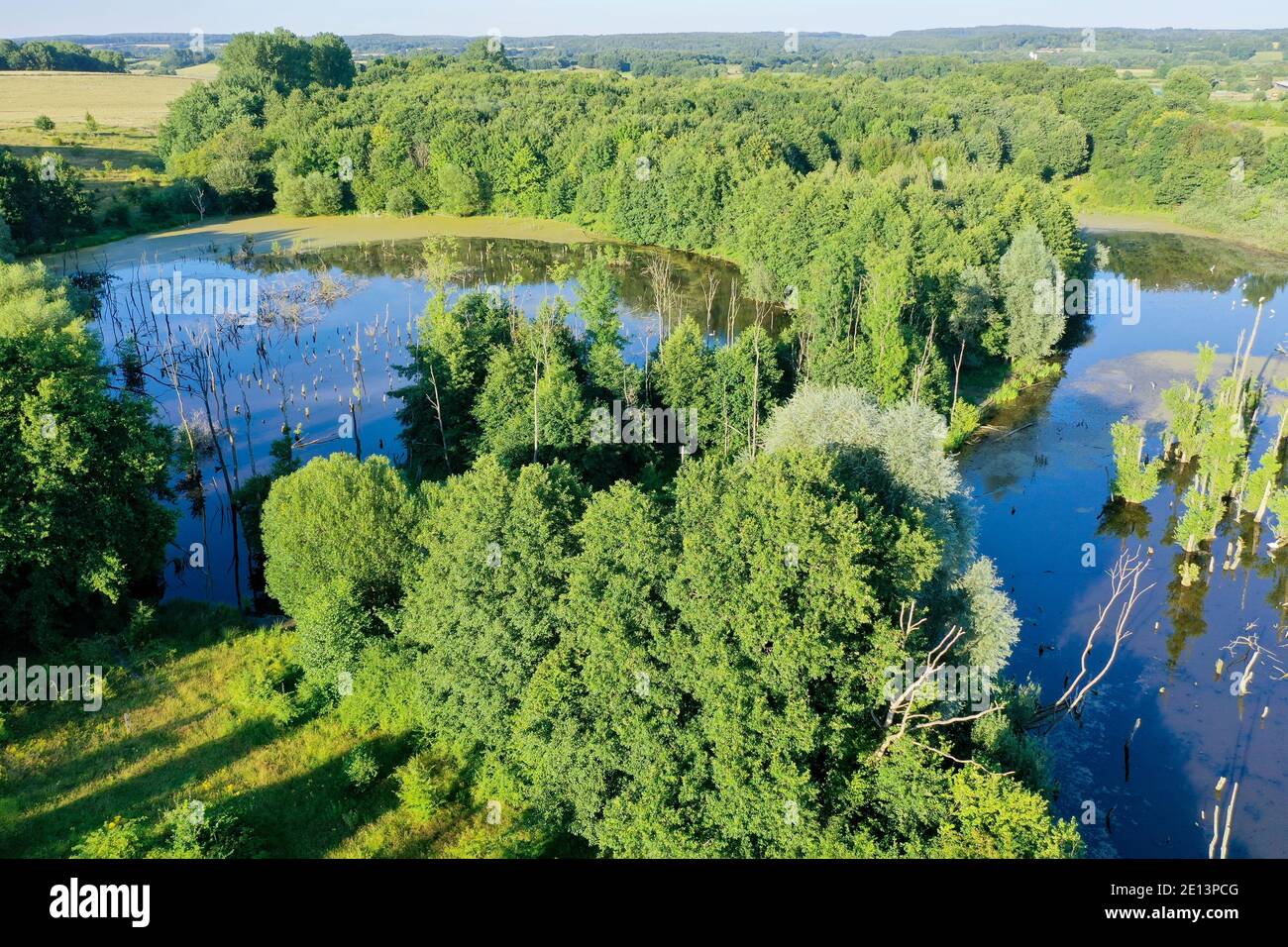 Hellmoor, Feuchtgebiet, Lämmerhof, Panten, Kreis Herzogtum Lauenburg, Schleswig-Holstein, Deutschland Stockfoto