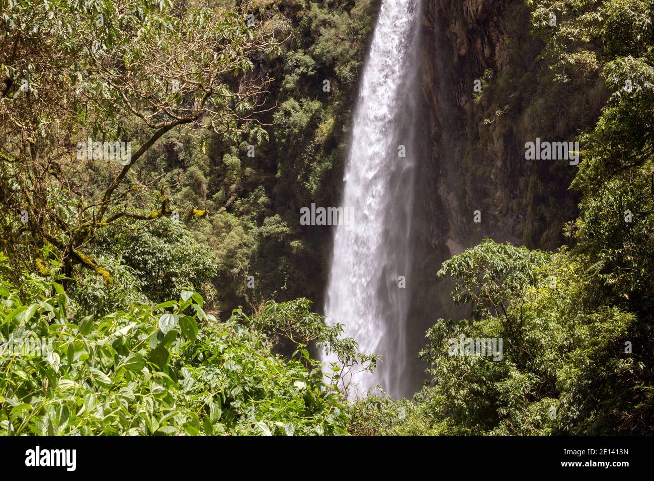 Condor Machay Wasserfall in einem üppigen Nebelwaldtal in der Nähe des Vulkans Cotopaxi, Ecuador Stockfoto