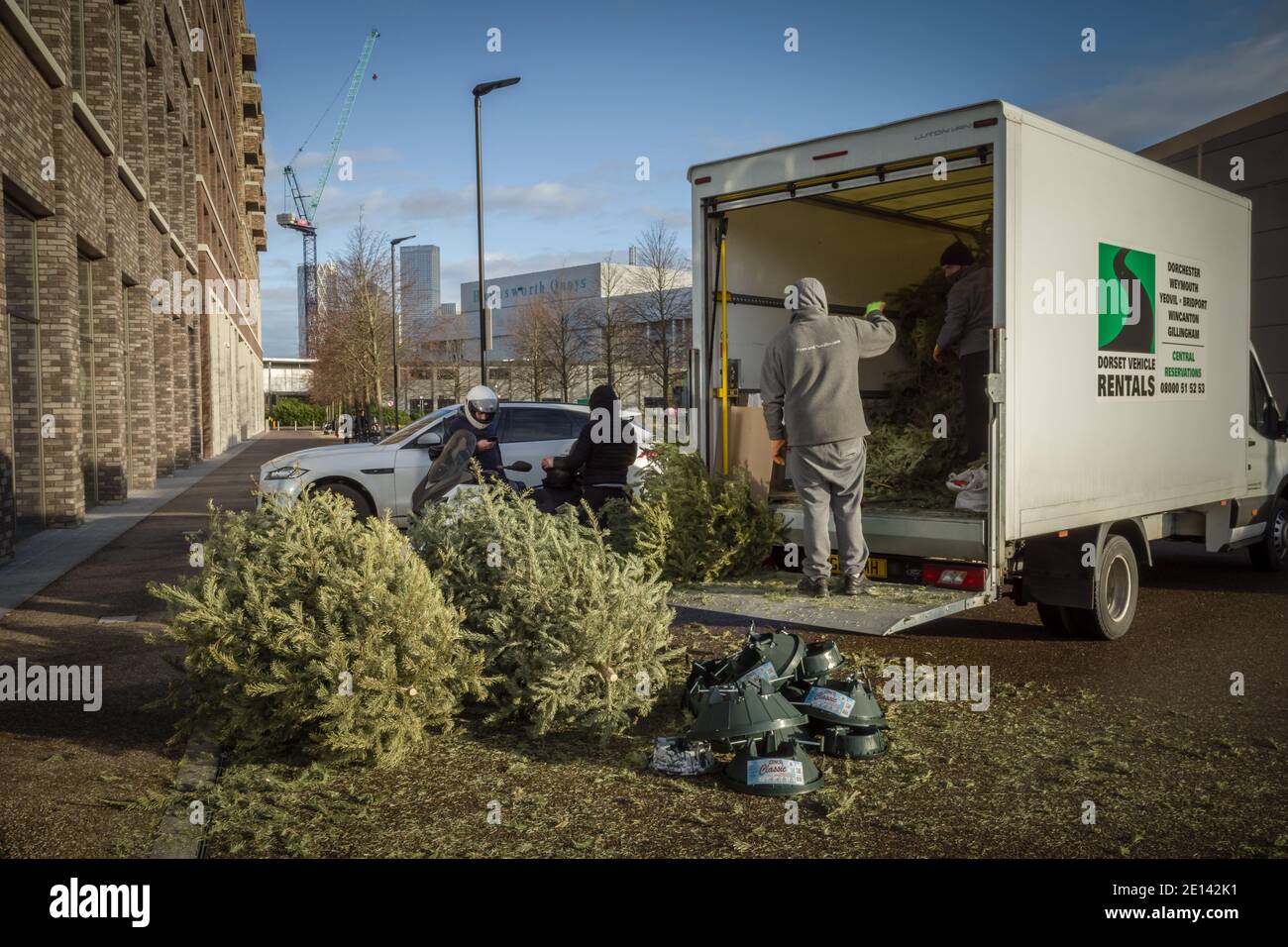 Weggeworfene Weihnachtsbäume werden in der Nähe von Canada Water im Südosten Londons, Großbritannien, gesammelt. Stockfoto