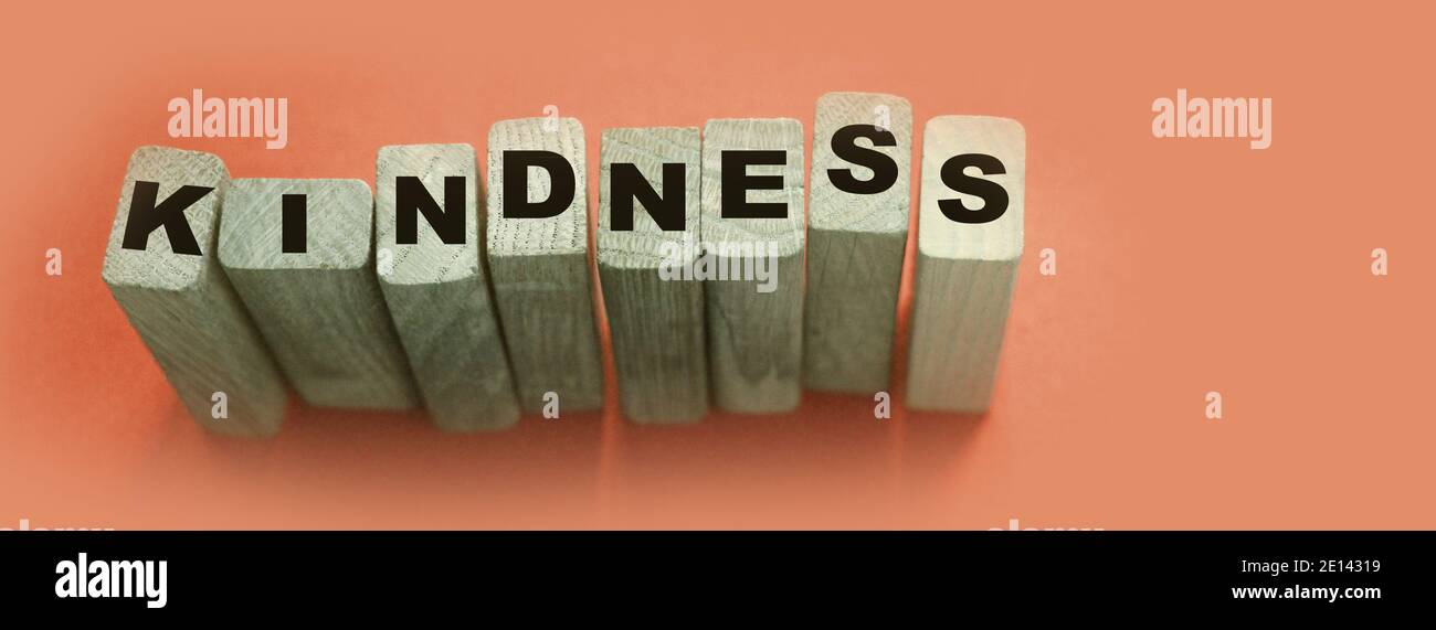 FREUNDLICHKEIT Wort mit hölzernen Bausteinen auf Korallen weichen roten Hintergrund gemacht. Lifestyle-Konzept. Stockfoto