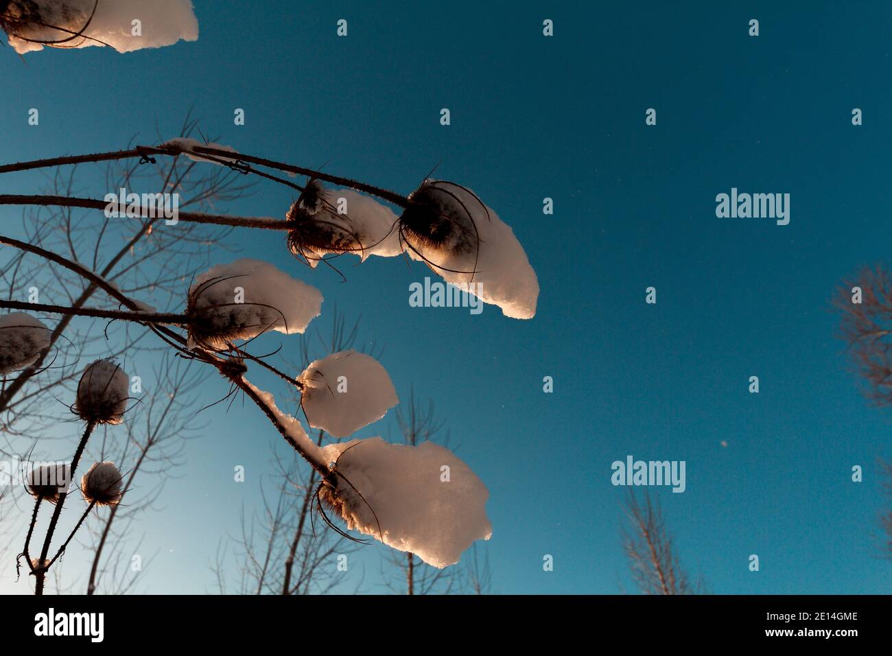 Nahaufnahme mehrerer Teelöffel, die mit Schnee bedeckt sind, an einem blauen Himmel. Stockfoto