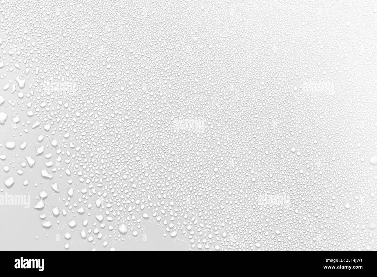 Das Konzept des Wassers tropft auf weißem Hintergrund. Stockfoto