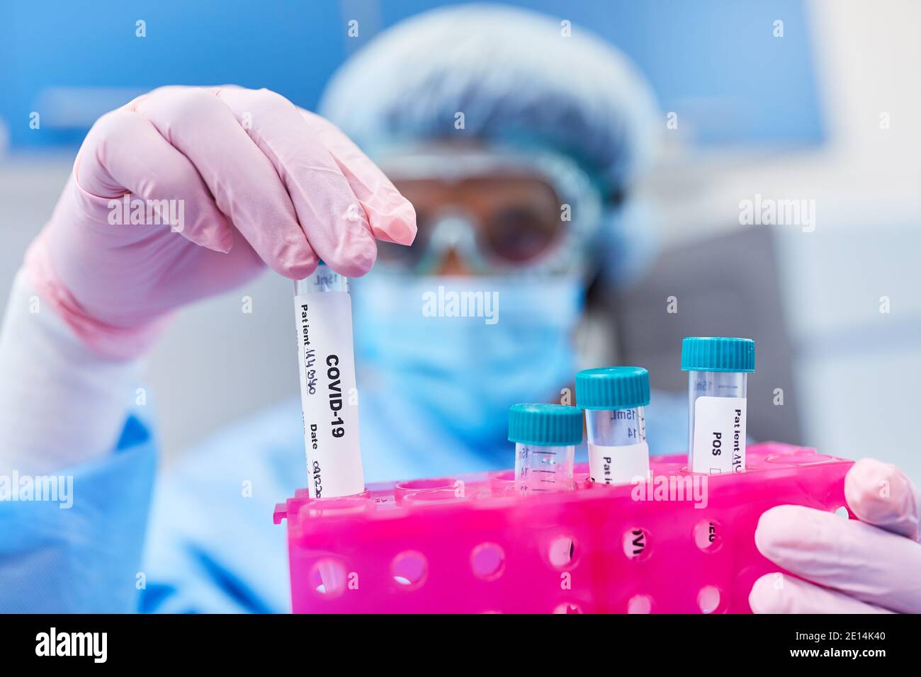 Medizinisches Fachpersonal mit Speichelproben für Covid-19-Tests in Das Labor Stockfoto