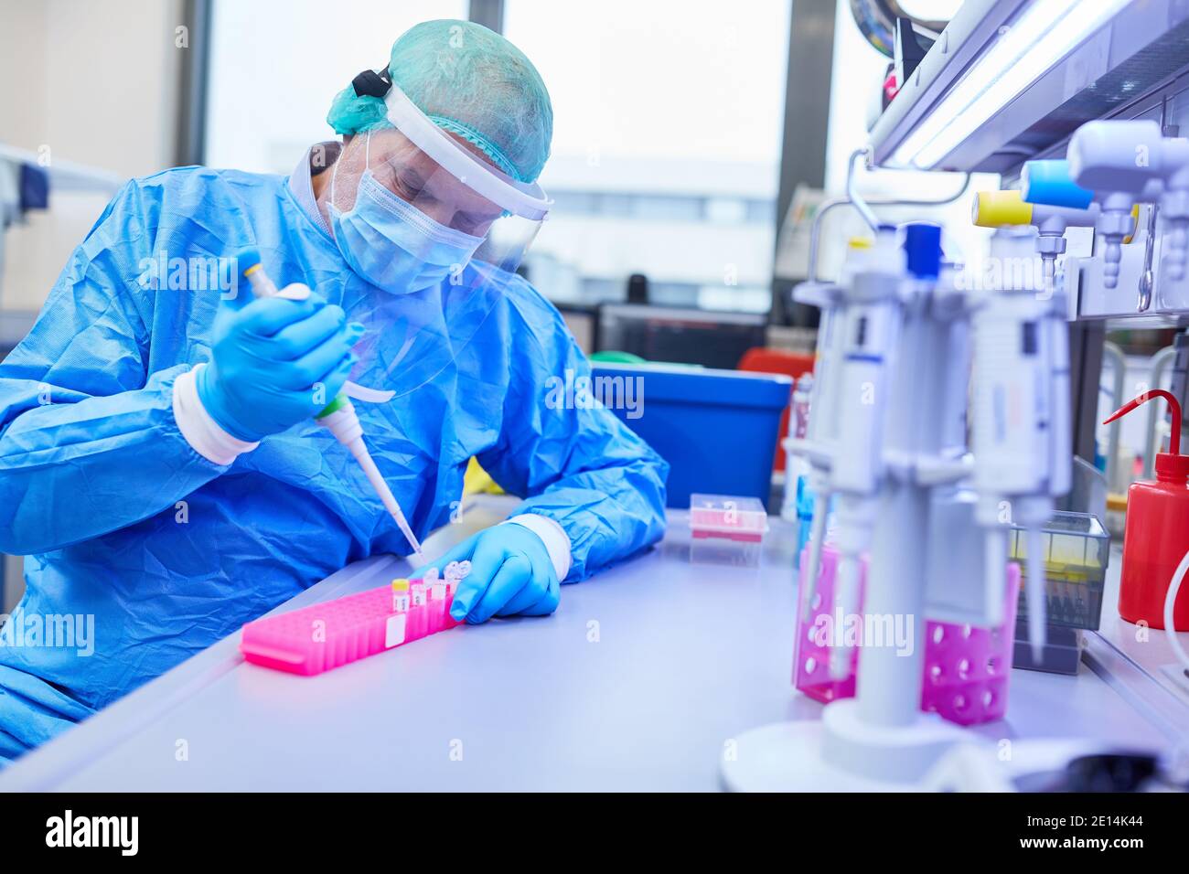 Forscher im Labor arbeitet an Covid-19-Impfstoff-Test in Coronavirus-Pandemie Stockfoto