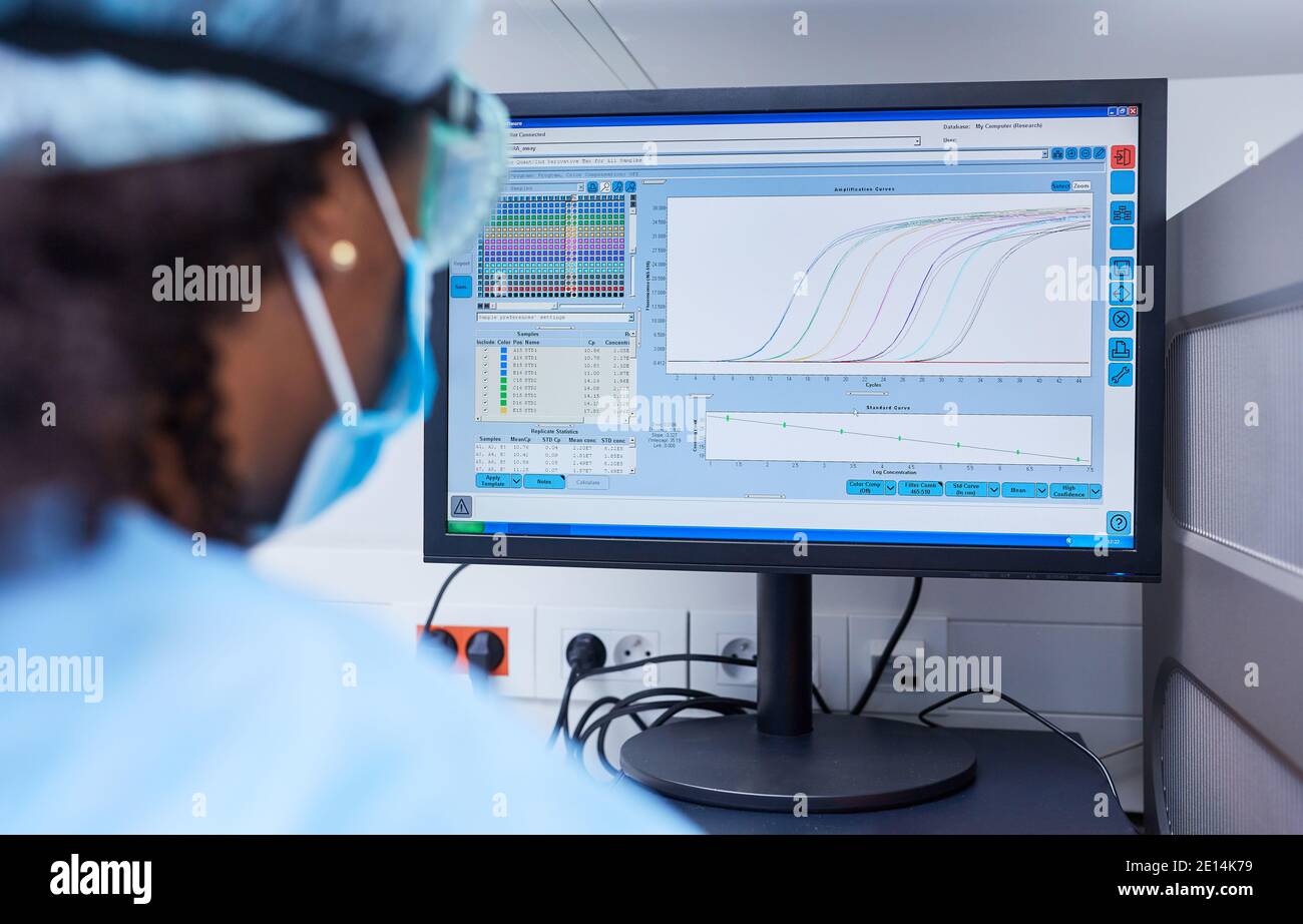 Forscher analysieren Daten auf dem Computer im Labor bei Covid-19 Impfstoffforschung Stockfoto