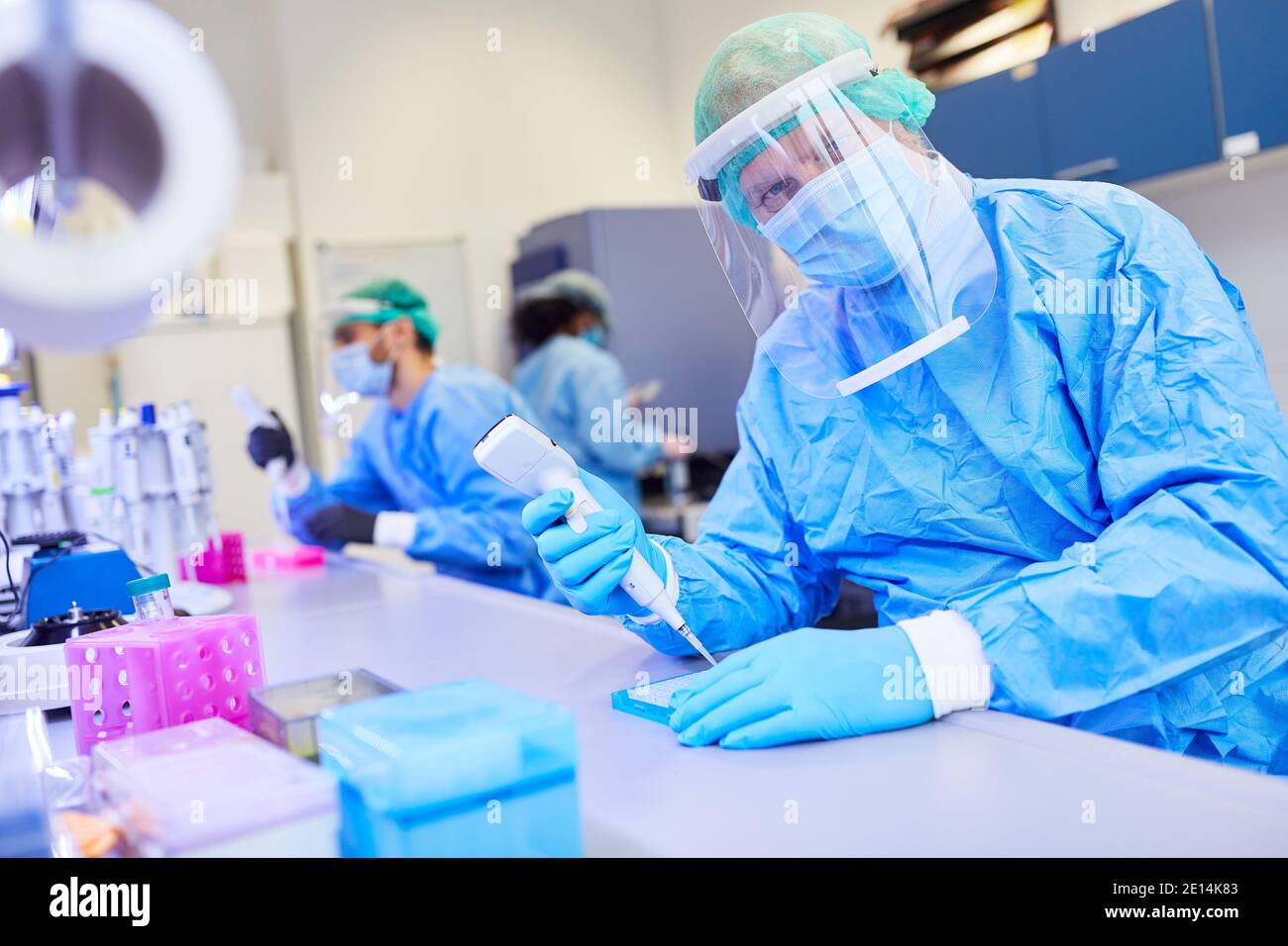 Forscher im Labor untersuchen Covid-19-Test auf Mutation in Coronavirus-Pandemie Stockfoto