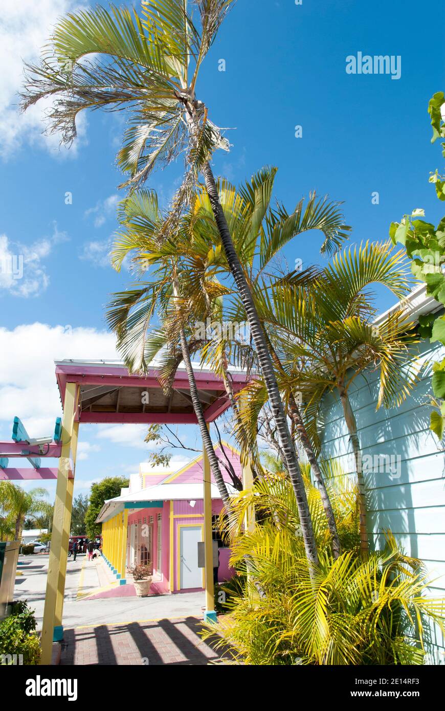 Schiefe Palmen in unserem Lucaya, dem Touristenviertel in Freeport auf der Insel Grand Bahama. Stockfoto