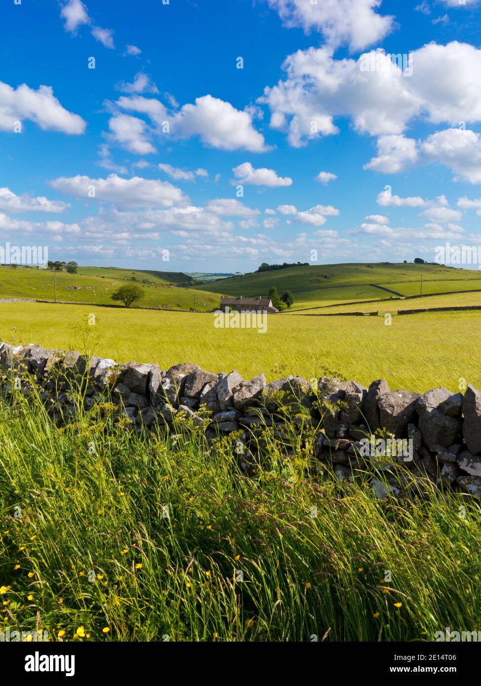 Trockenmauern und typische hügelige Landschaft in der Nähe von Parwich in der White Peak Area des Peak District National Park Derbyshire Dales England. Stockfoto