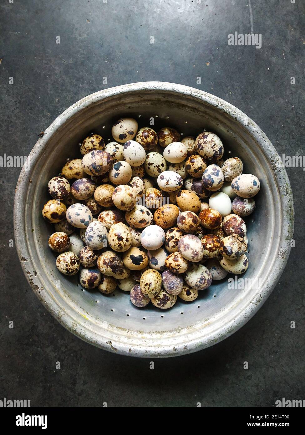 Wachteleier in Holzschale isoliert auf weißem Hintergrund Ausschnitt.Wachteleier in einem Nest auf einem rustikalen Holzhintergrund. Gesunde Ernährung Konzept. Stockfoto