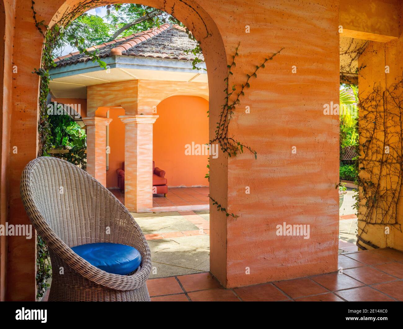 Schöne grüne Efeu Blätter Zweig auf orange Wohnzimmer Wand Haus innen und außen Dekoration Stockfoto