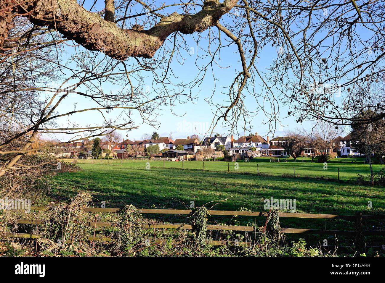 Freistehende Häuser auf 'The Ryde' hinter Sweep's Graben, Laleham Surrey England Großbritannien Stockfoto