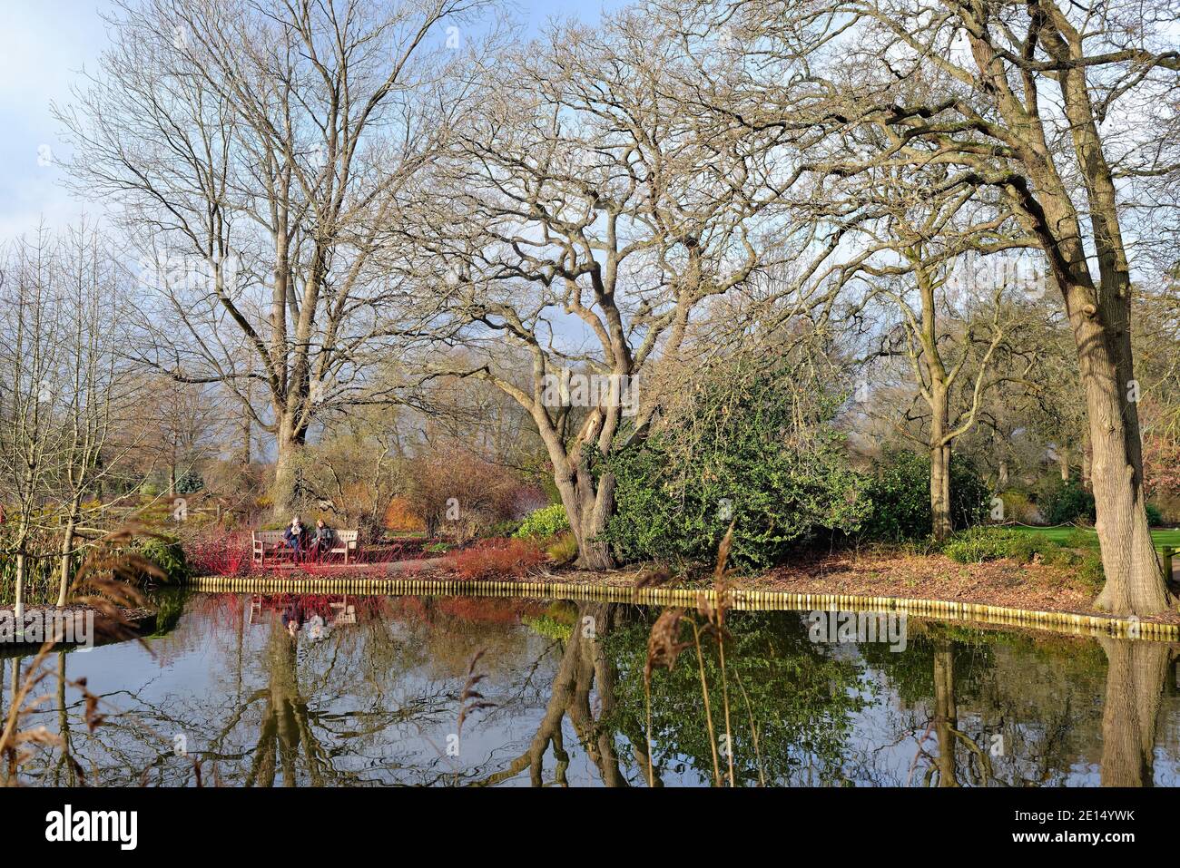 Zwei Leute sitzen auf einer Bank am See Winterlandschaft in Wisley RHS Gardens Surrey England UK Stockfoto