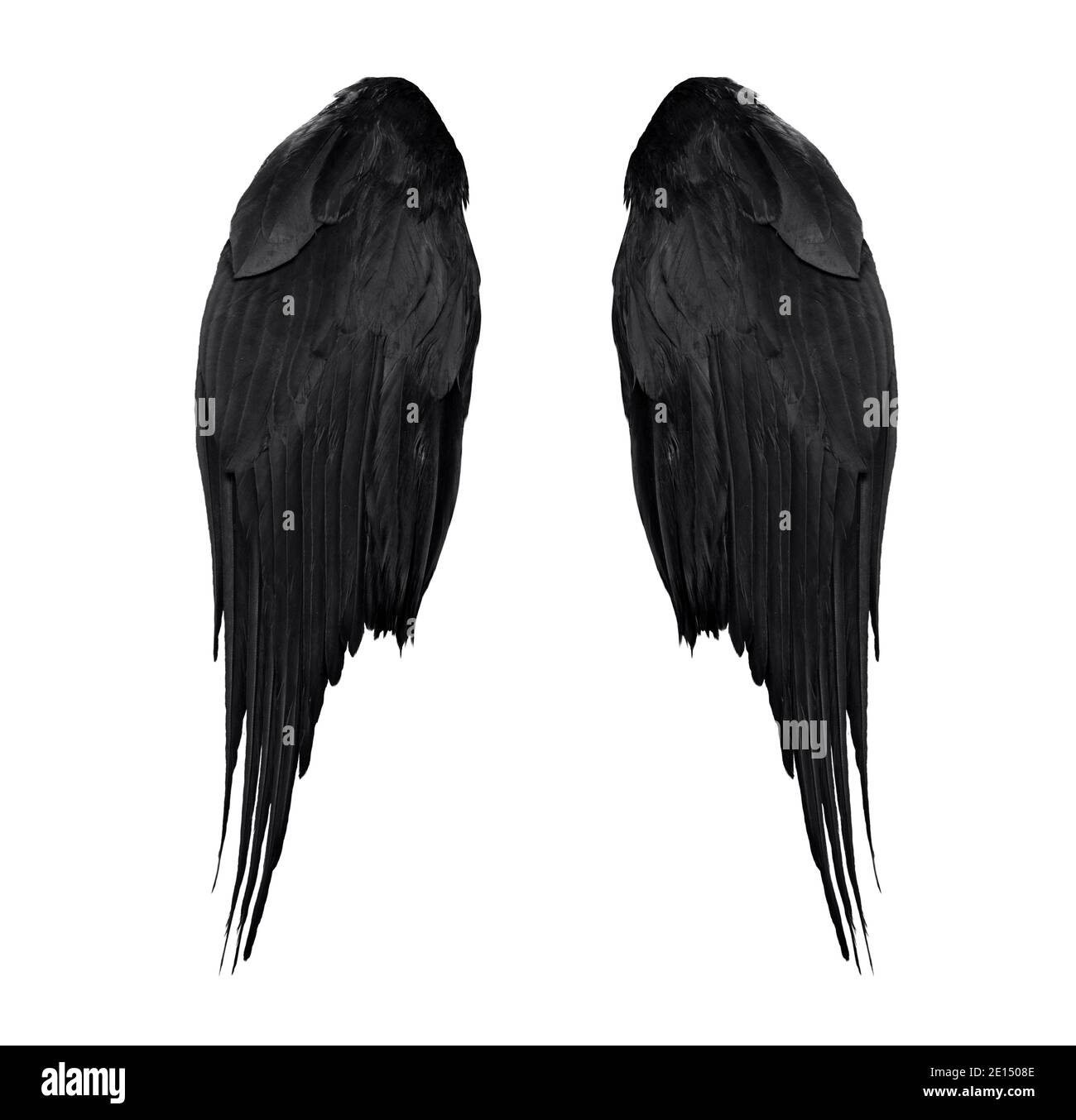 Zwei echte schwarze Engelsflügel mit großen Federn isoliert auf