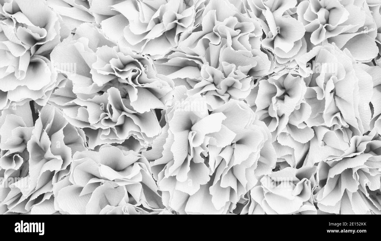 Weißer abstrakter Hintergrund mit floralen Elementen. Monochromer Hintergrund mit weißen Blumen aus Krepppapier für Banner und Tapeten auf dem Desktop. Stockfoto