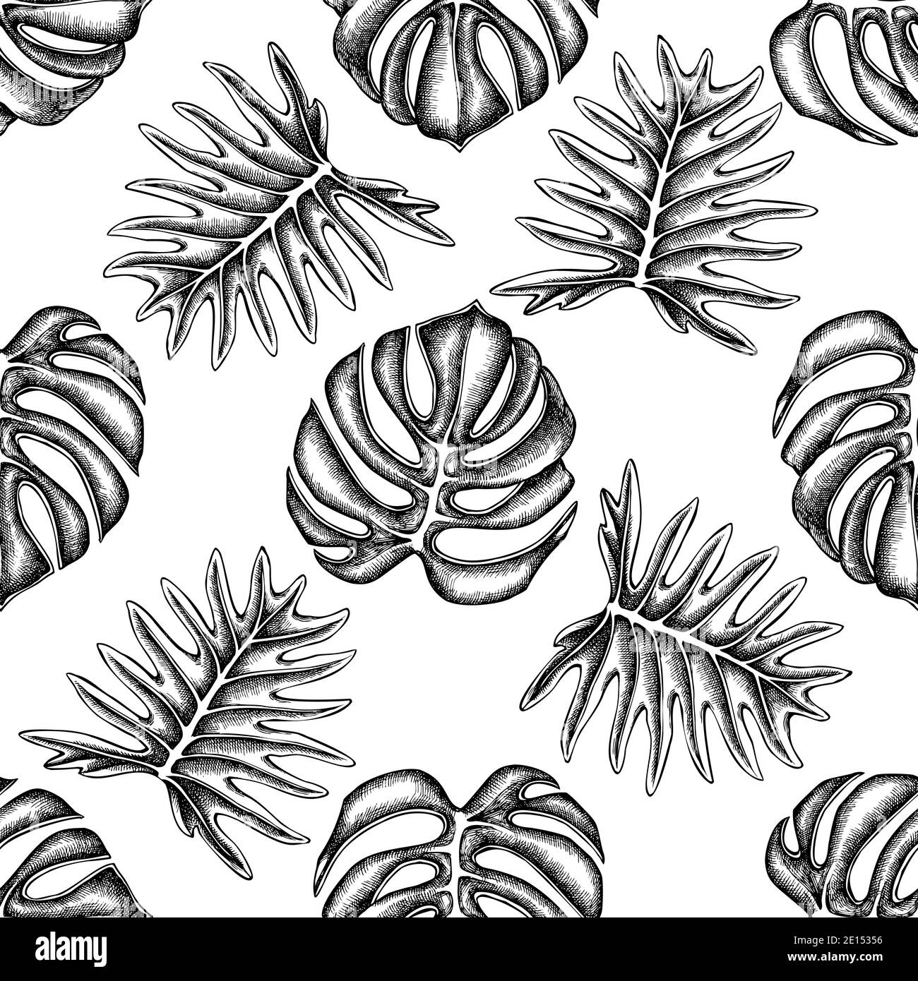 Nahtloses Muster mit schwarz-weißen Monstera Stock Vektor