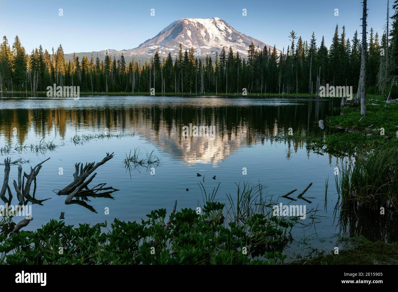 WA17634-00..... WASHINGTON - am frühen Morgen am Horseshoe Lake mit Mount Adams in den stillen Gewässern reflektiert, Gifford Pinchot National Forest. Stockfoto
