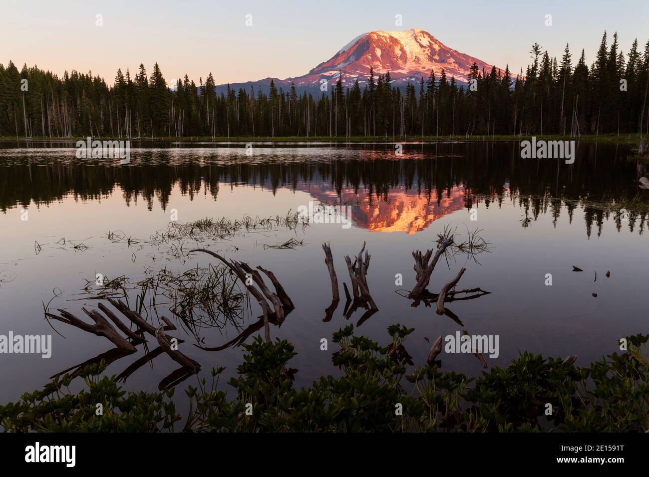 WA17635-00..... WASHINGTON - Sonnenuntergang am Horseshoe Lake mit Mount Adams, der sich in den stillen Gewässern des Gifford Pinchot National Forest widerspiegelt. Stockfoto