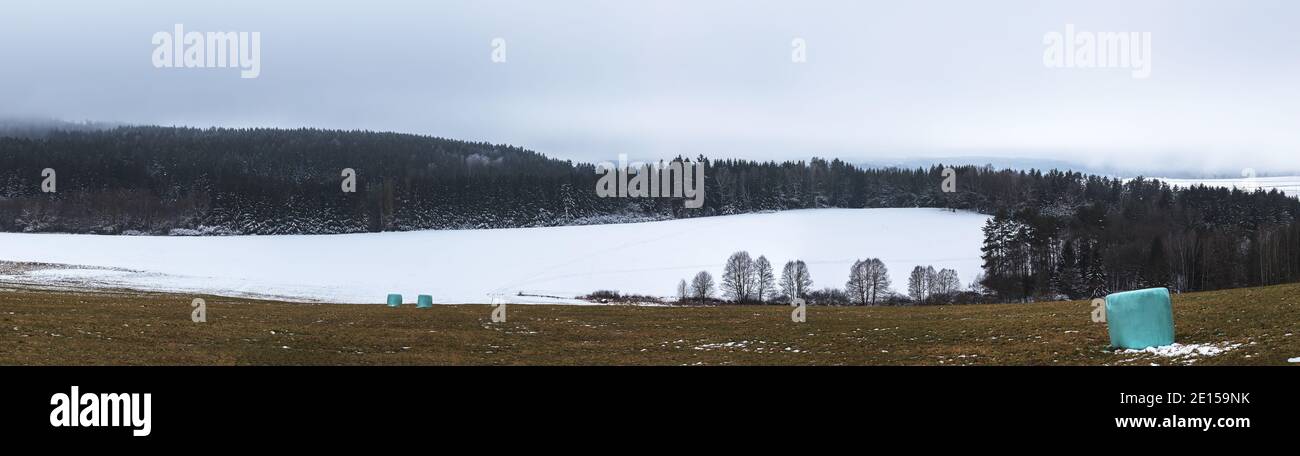 Winterlandschaft - schneebedeckten Feld und Wald, eingewickelten Ballen von Stroh auf dem Feld Stockfoto