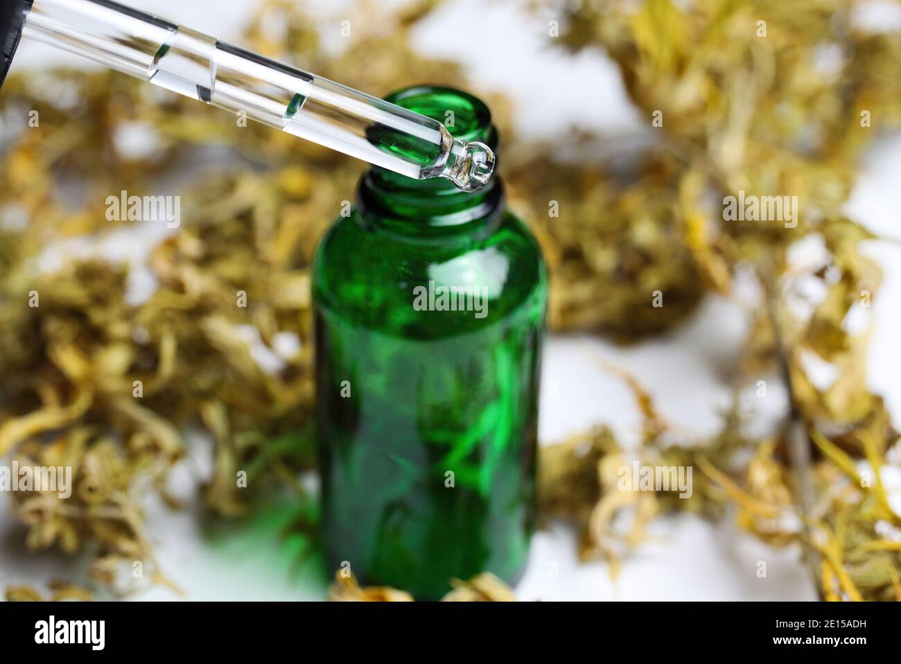Makro-Nahaufnahme der grünen isolierten Tropfpipette medizinisches Cannabinol cpd-Ölflasche mit getrockneten Cannabisknospen, weißer Hintergrund Stockfoto