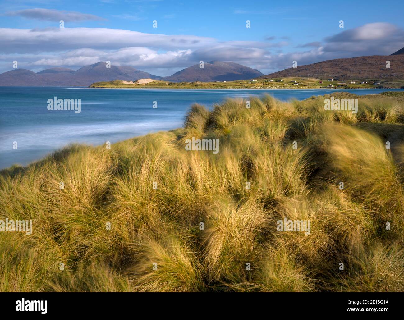Isle of Lewis und Harris, Schottland: Strandgräser im Wind des Luskentire Strandes auf South Harris Island Stockfoto