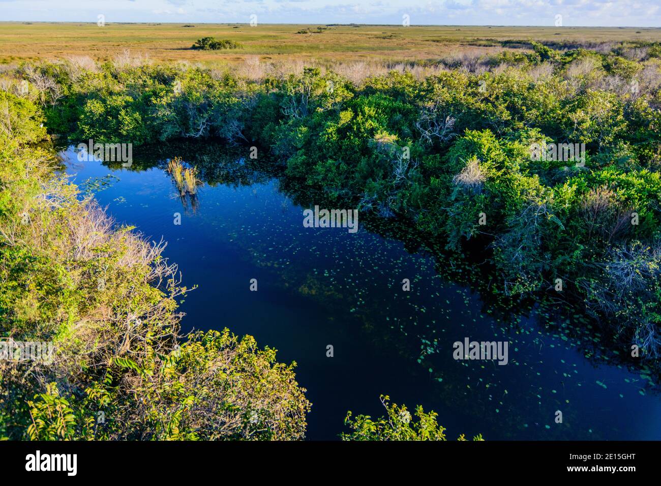 Schmale Feuchtwasserstraße, die von dichter grüner Vegetation und Sträuchern umgeben ist, reflektiert den blauen Himmel in ruhigem Wasser in einer natürlichen Sumpflandschaft Stockfoto