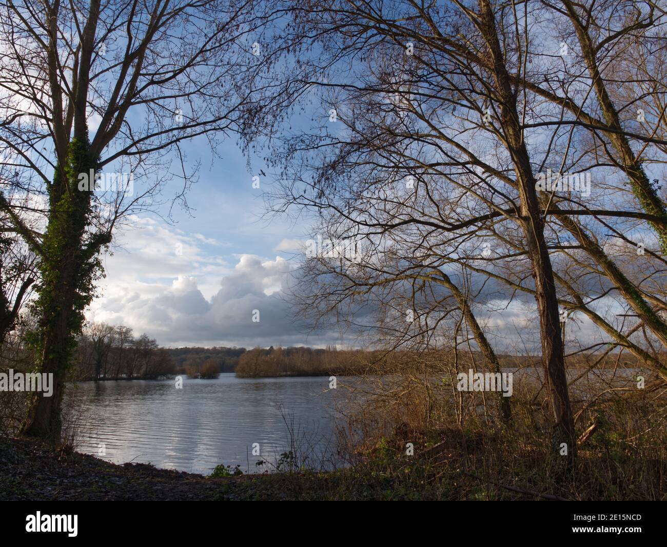 Grand Union Canal, Harefield, England. Kanalweg, Treidelpfad, Wald. Blick auf den See. Sonnenuntergang Himmel durch Kupfer versunkenen Bäumen. Wandern und Wandern Stockfoto