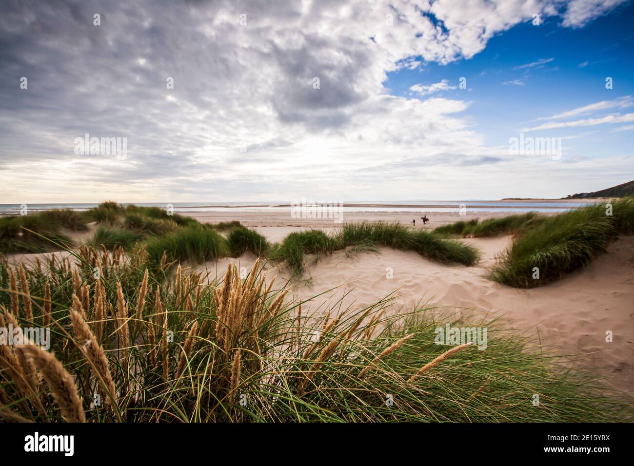 Seegräser und Dünen am Ynysis Beach, Borth, Ceredigion, Wales Großbritannien Stockfoto