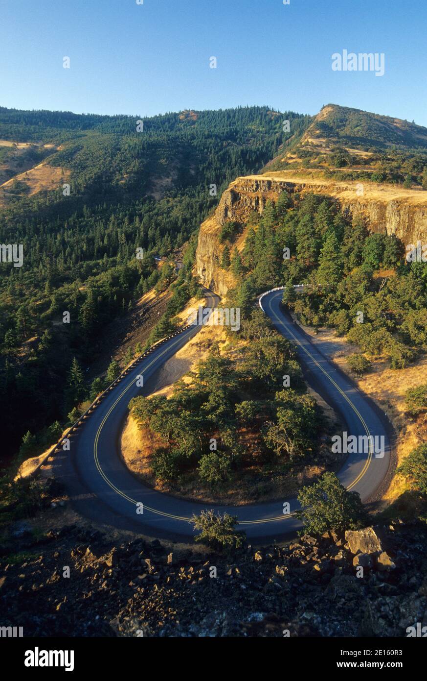 Rowena Loops auf dem historischen Columbia River Highway, Mayer State Park, Columbia River Gorge National Scenic Area, Oregon Stockfoto