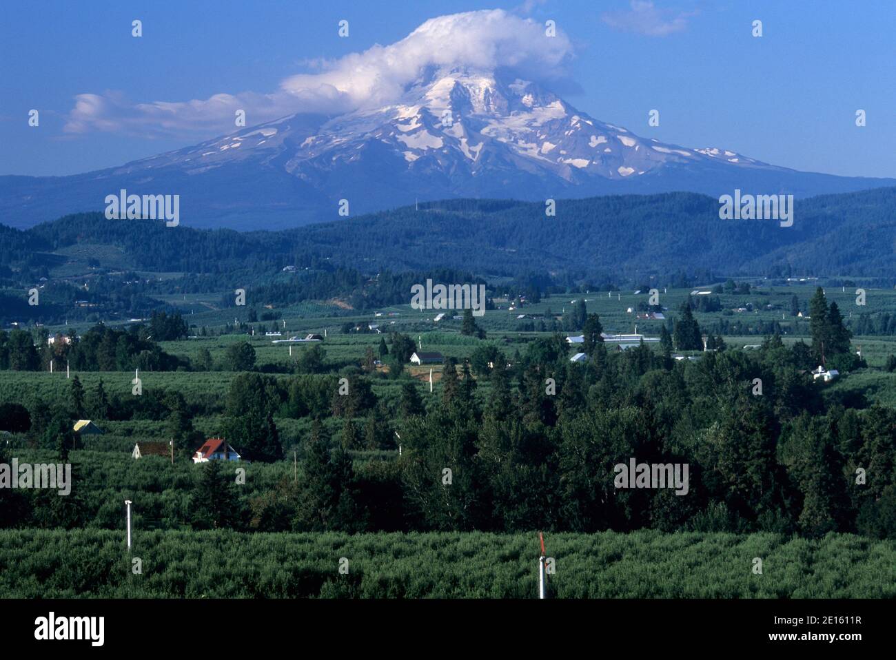 Mt Hood über Hood River Valley, Panorama Point County Park, Columbia River Gorge National Scenic Area, Oregon Stockfoto