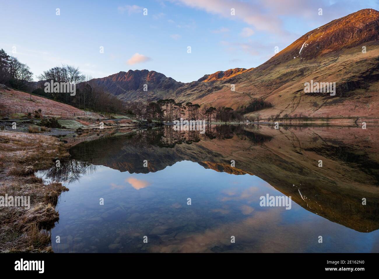 Buttermere im Morgengrauen stapelt sich Hay im Hintergrund hinter den Scotts Pine Trees am südöstlichen Ende des Sees. Lake District, Großbritannien Stockfoto