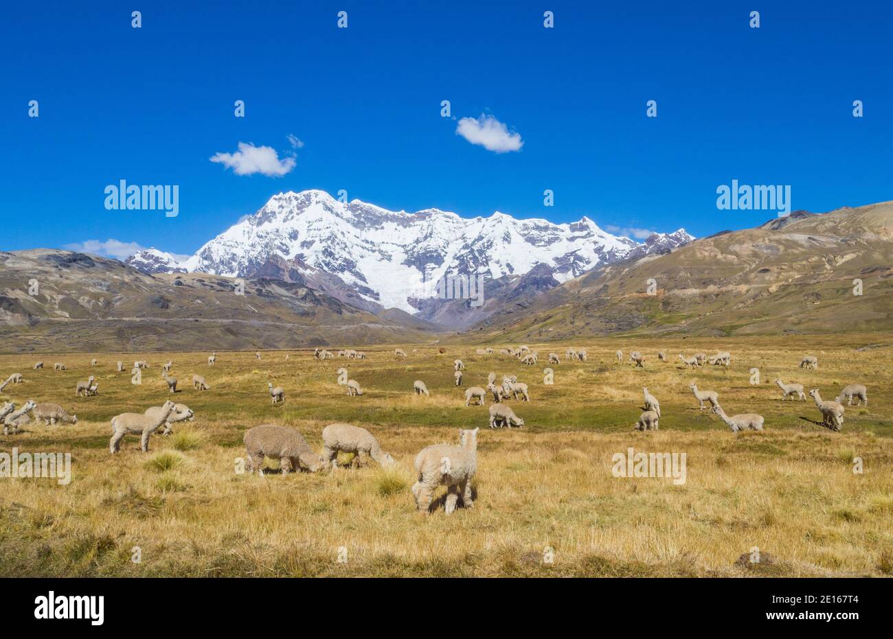 Reisen & Wandern in Peru Stockfoto