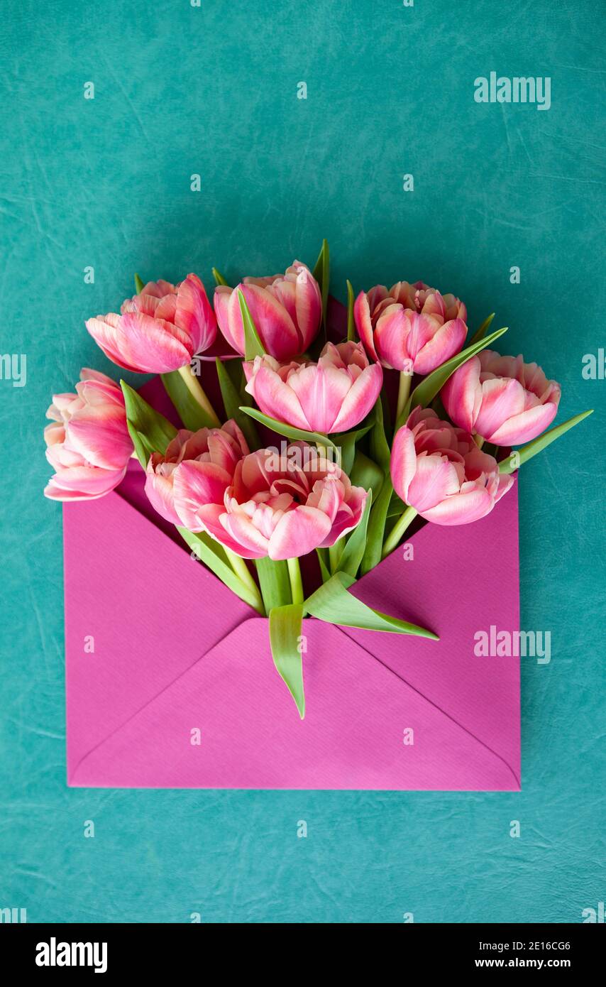 Rosa Tulpen In Kleinem Umschlag Stockfoto