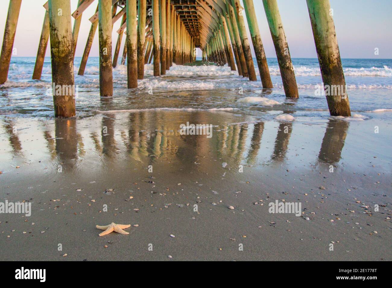 Myrtle Beach Pier. Seesterne am Strand mit einem langen Holzsteg im Hintergrund an der Atlantikküste in Myrtle Beach, South Carolina, USA. Stockfoto