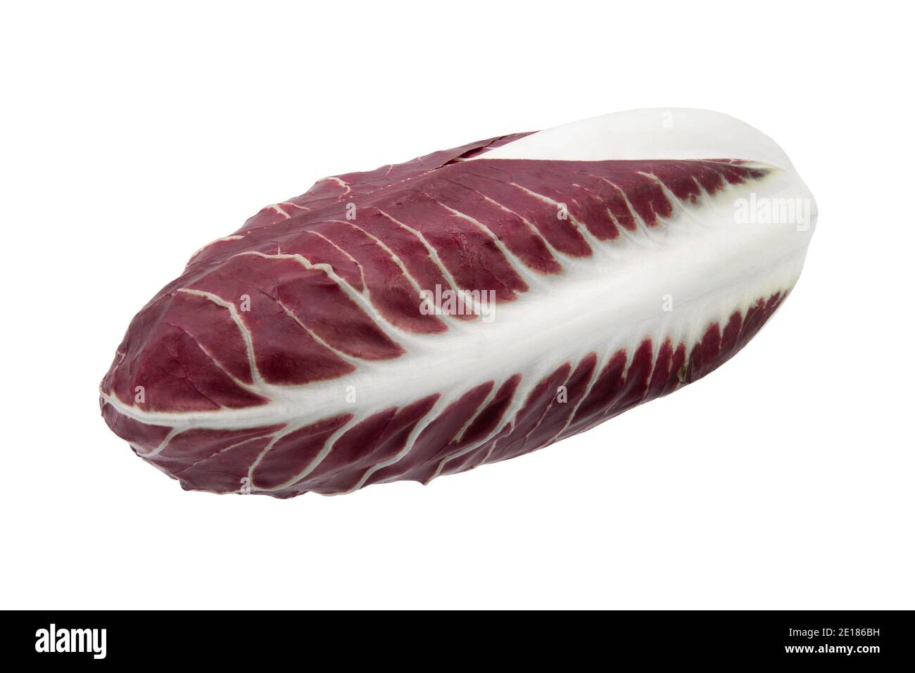 Rote Chicory isoliert auf weißem Hintergrund. Volle Schärfentiefe mit Beschneidungspfad. Stockfoto