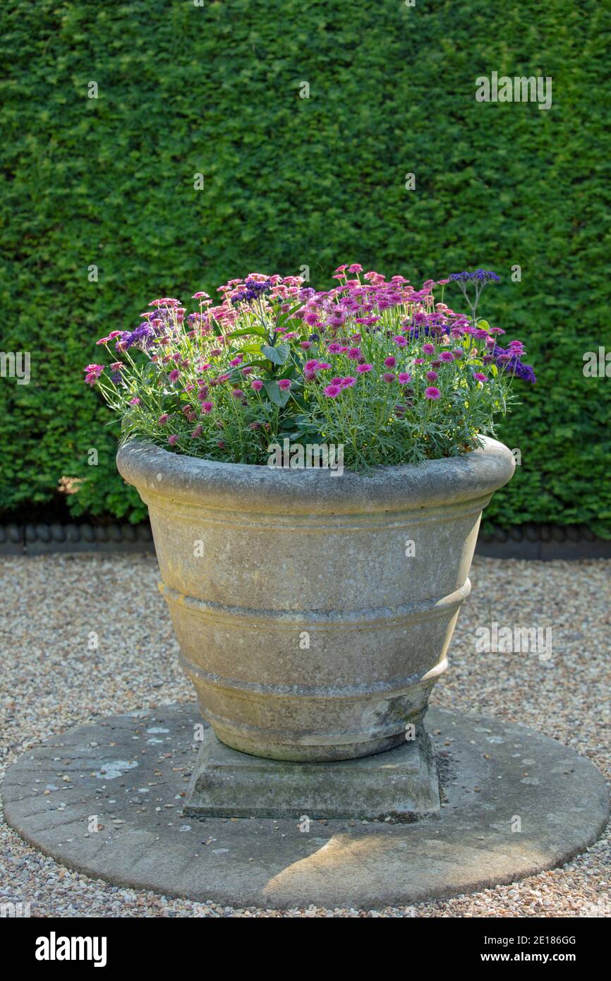 Steintopf mit Sommer blühenden Pflanzen im Kiesgarten gesehen Stockfotografie