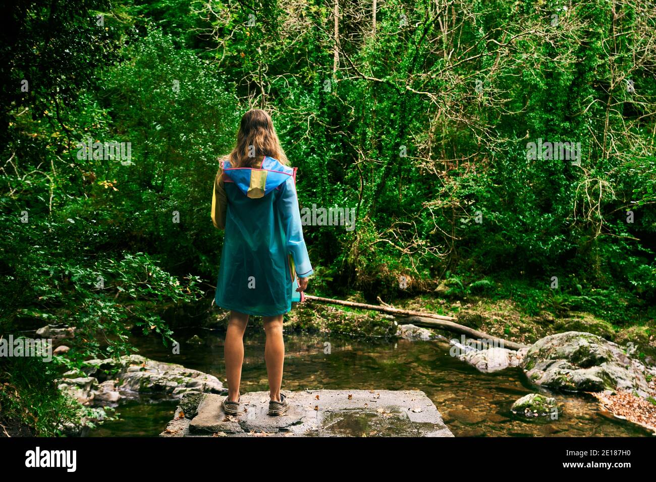 Eine junge Frau steht im Wald bei einem Fluss im Herbst Stockfoto