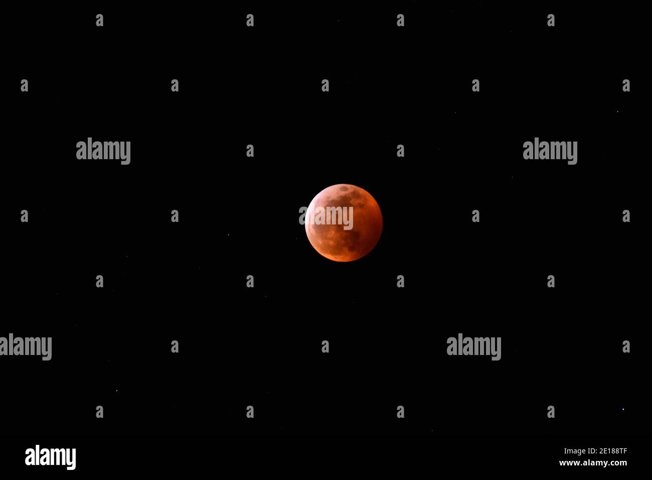 Super Blood Wolf Moon Eclipse, Indiana, 2019 Stockfoto