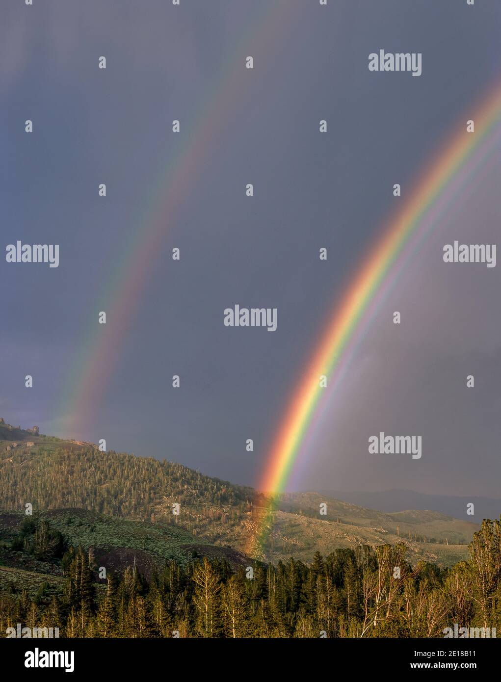 Double Rainbow, Sonoran Pass, Carson-Iceberg Wilderness, Stanislaus National Forest, Sierra Nevada Mountains, Kalifornien Stockfoto