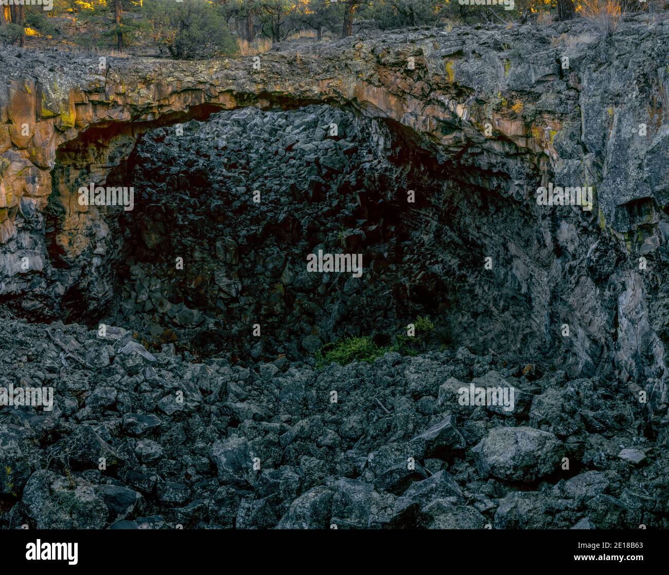 Natürliche Brücke, eingestürzt Lavatunnel, El Malpais National Monument, New Mexico Stockfoto