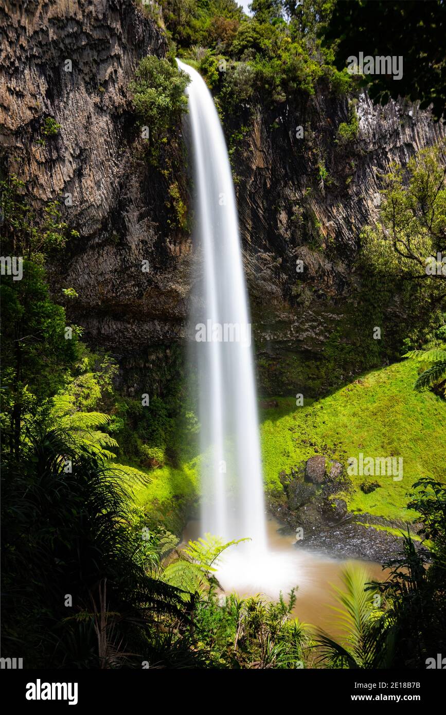 Bridal Veil Falls, ein 55m hoher Wasserfall in Raglan, Waikato, Neuseeland Stockfoto