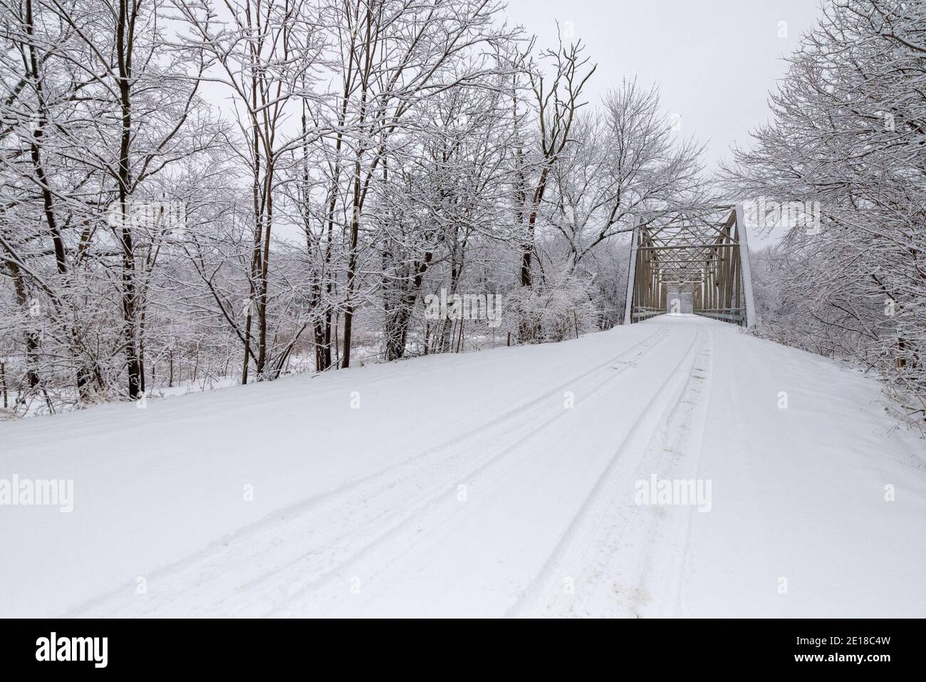 Schneefall im Hungered Rock State Park Stockfoto