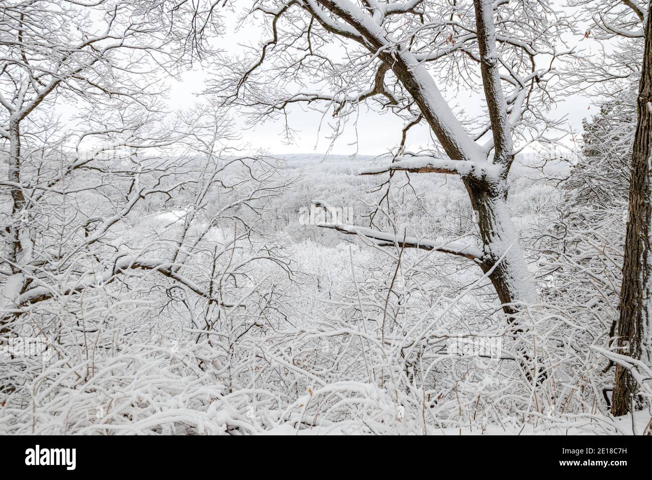 Schneefall im Hungered Rock State Park Stockfoto