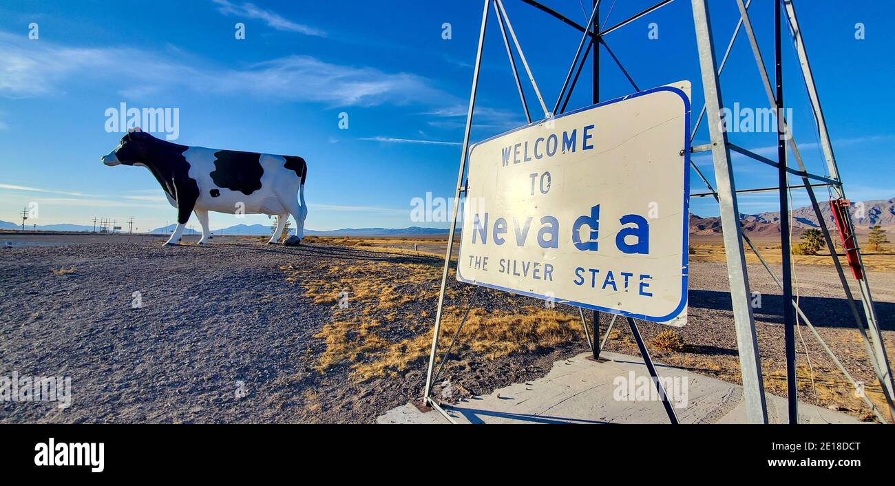 Spotted Cow Nevada State Line Stockfoto