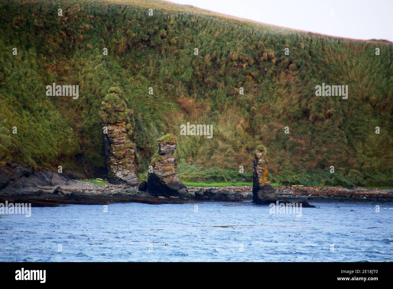 Aleutischen Inseln, Baby-Inseln, Alaska Stockfoto