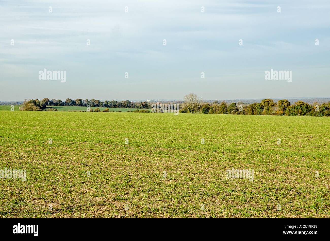 Blick über Ackerland in der Nähe von Basingstoke Blick auf das Atomwaffenlager, AWE Aldermaston in der Nähe von Tadley an einem sonnigen Herbsttag. Stockfoto