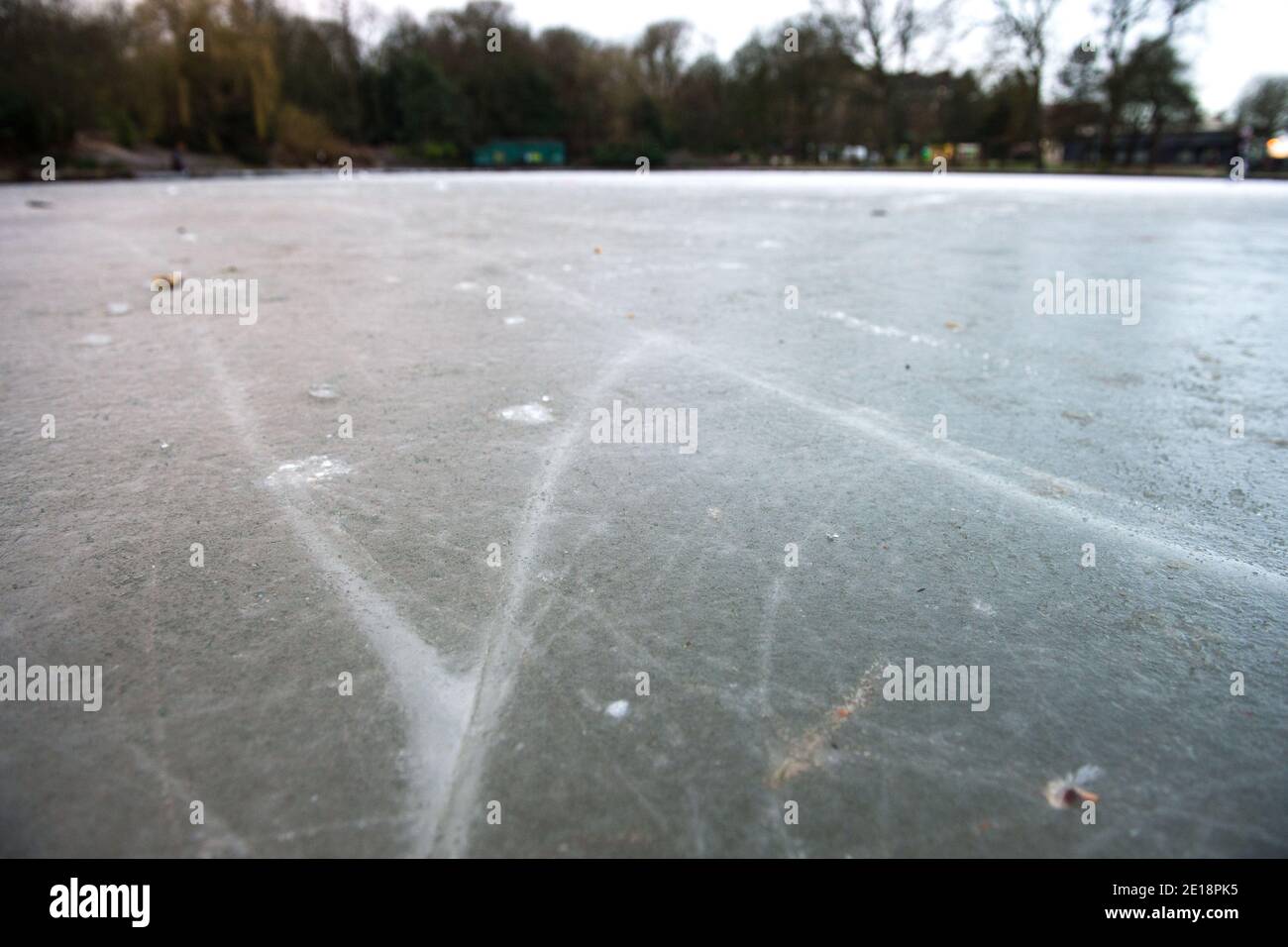 Glasgow, Schottland, Großbritannien. Januar 2021. Im Bild: Das schmelzende und knackende Eis auf dem Teich. Queens Park in Shawlands, der heute Morgen nur wenige Menschen im Park und auf dem Eis zeigt, bildet einen deutlichen Kontrast zu den Szenen von gestern, in denen Hunderte von Menschen auf dem Eis, Schlittschuhlaufen, Hockey spielen und um den Park herum zu sehen waren. Ab 00:01 Uhr heute Morgen wurde Schottland erneut gesperrt, wie es die Ansprache des schottischen Ersten Ministers gestern um 14:00 Uhr erklärte. Quelle: Colin Fisher/Alamy Live News. Stockfoto